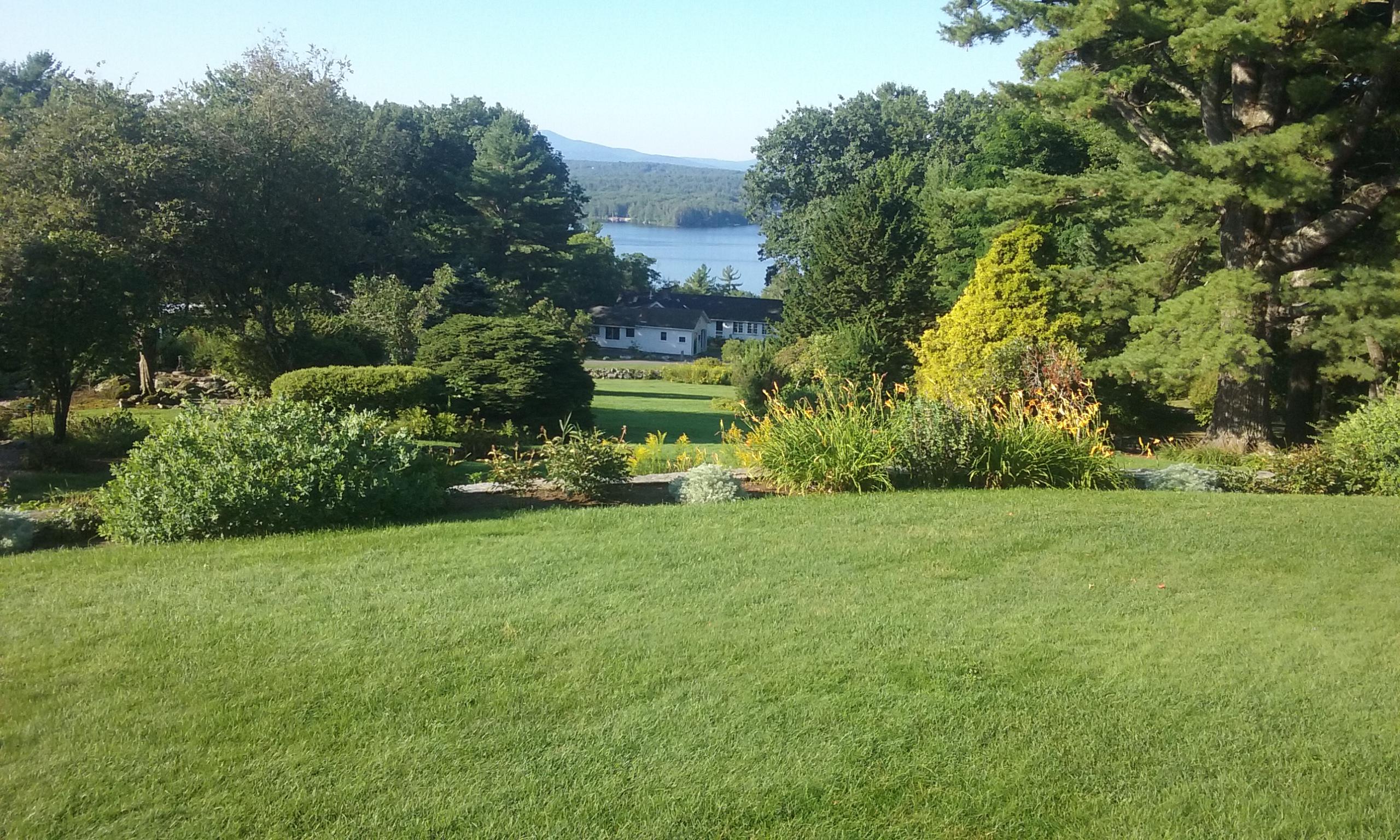 Botanical Landscape Management Photo