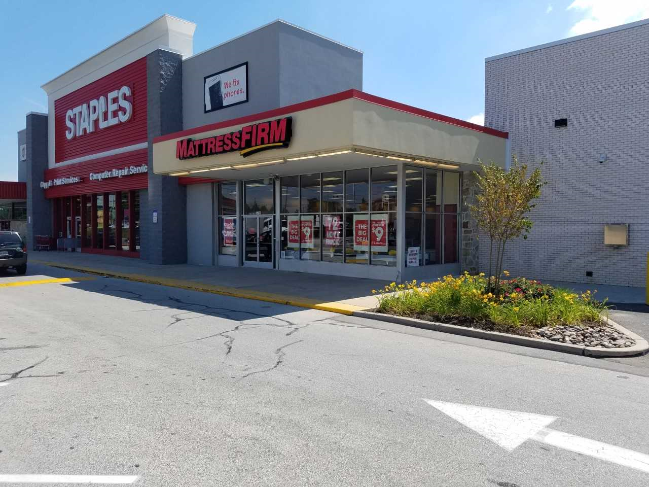 Mattress Firm Springfield West Photo