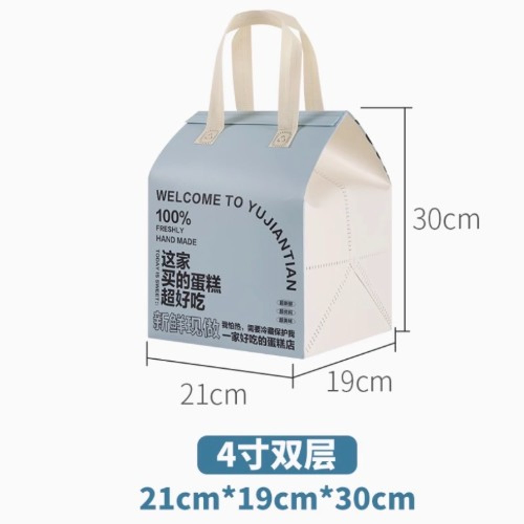 4" Insulated Cake Bag (w. 3 Ice Packs) / 4寸蛋糕保温袋（含3个冰袋）
