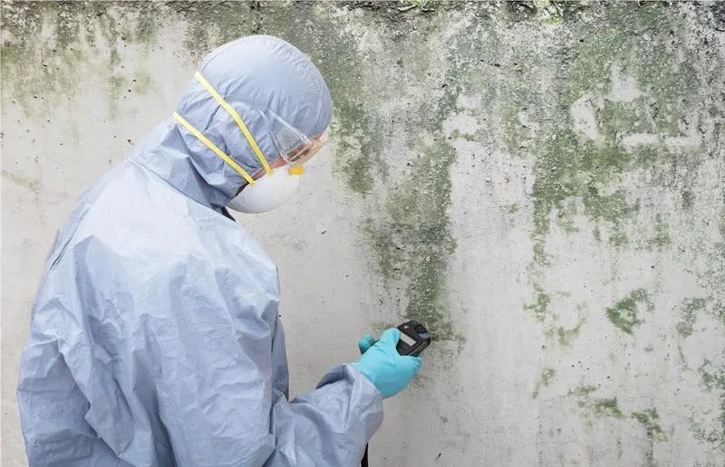 Cleaning Services