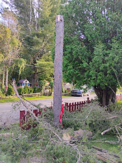 Élagage SC inc. - Abattage, Émondeur, Service d'arbres Beauport