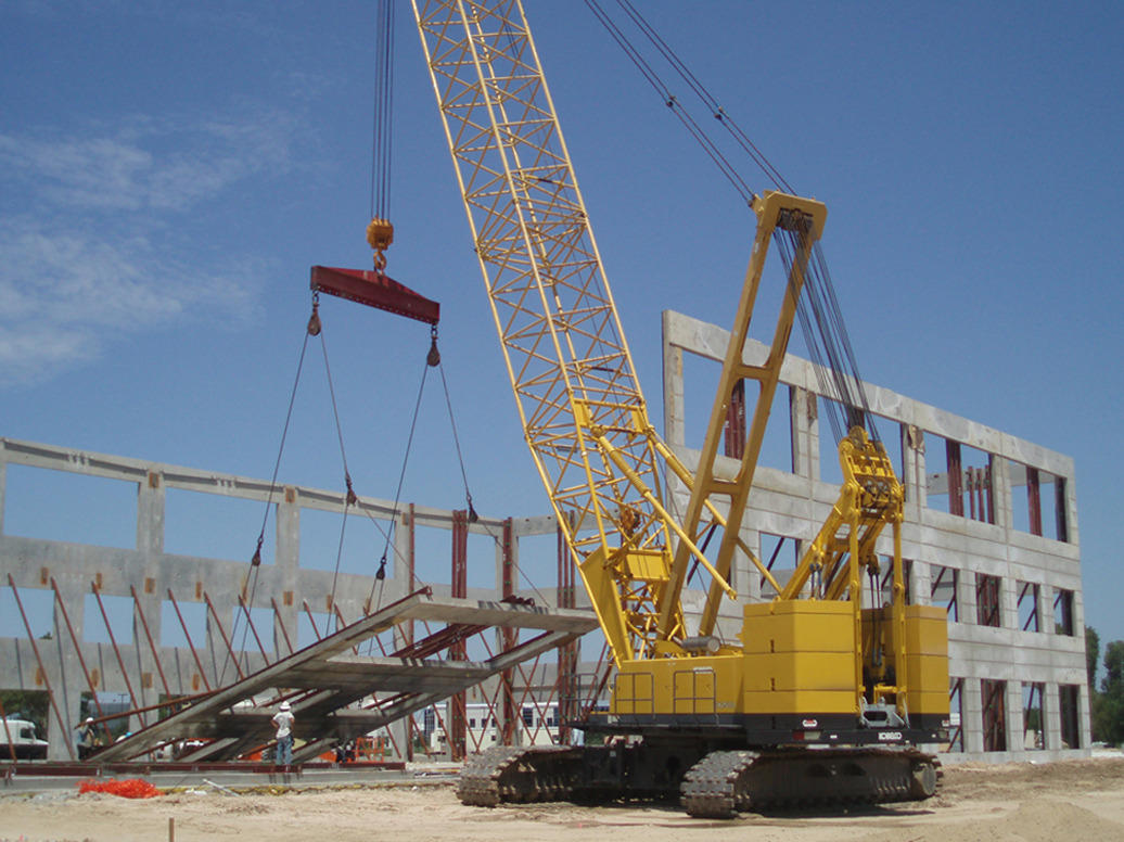 Blue Hat Crane Photo