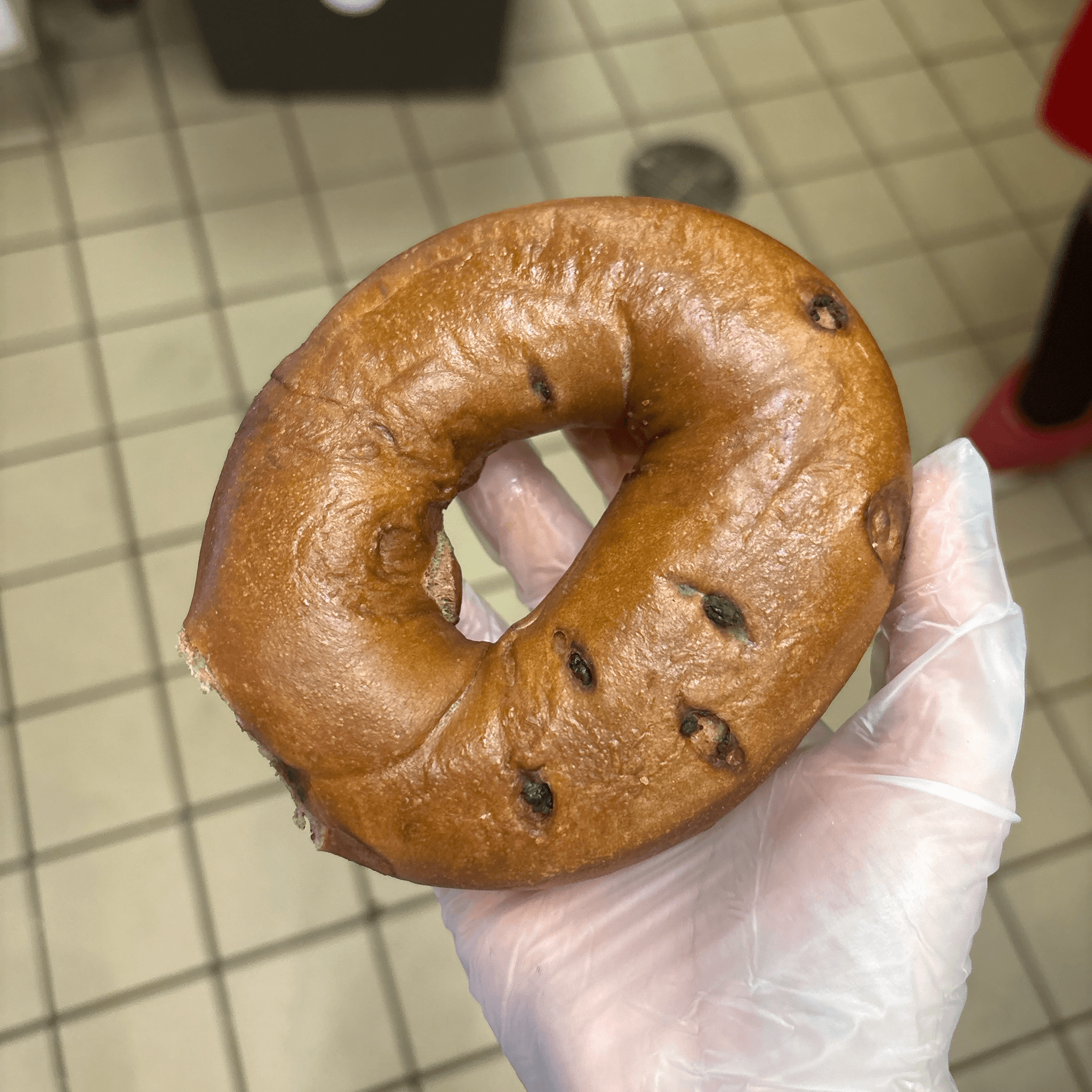 Chocolate Chip Bagel