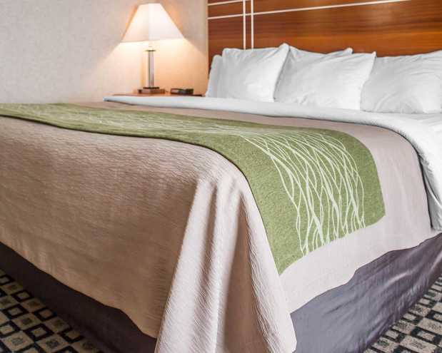 Images Quality Inn