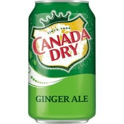 Ginger Ale 12 Oz