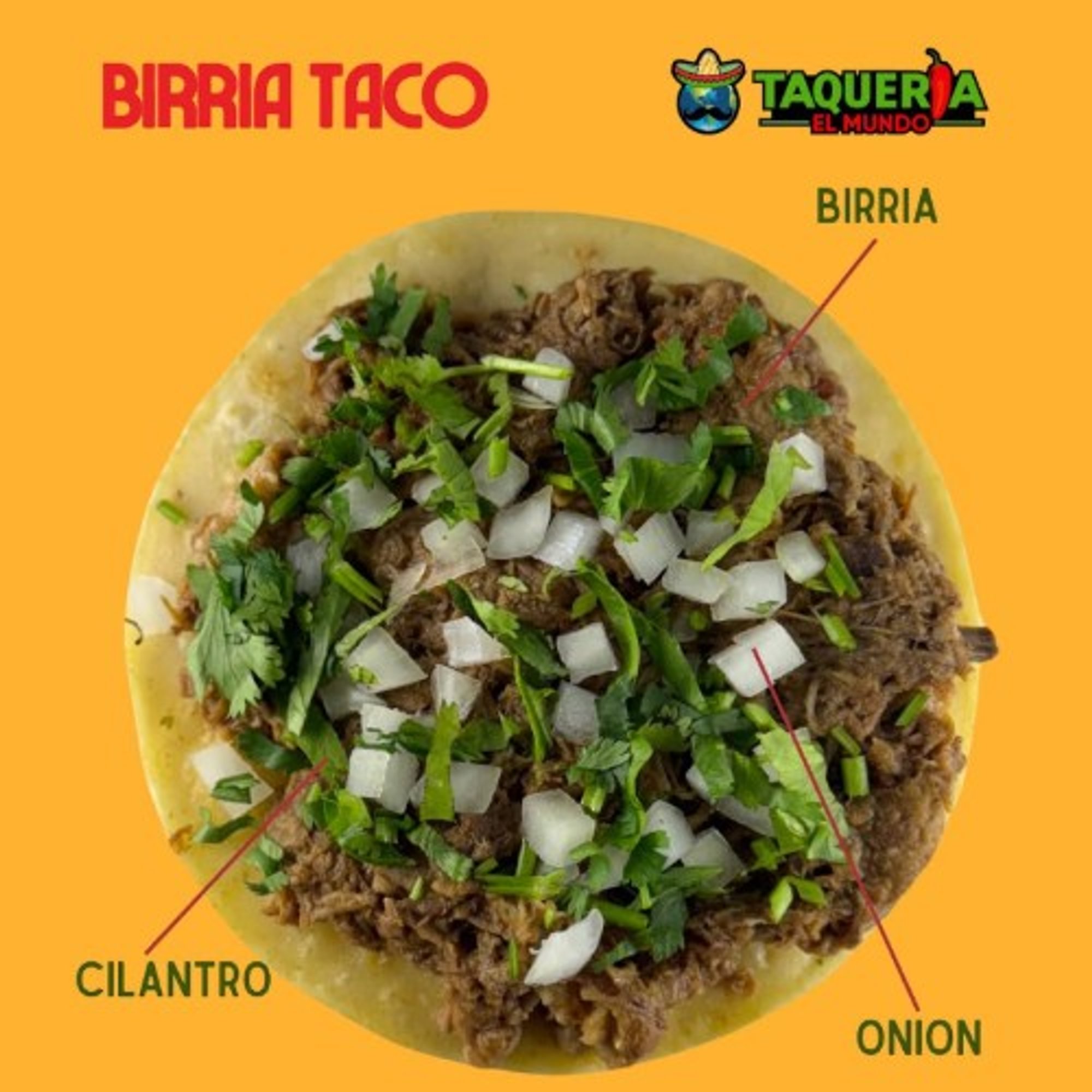 Birria Taco