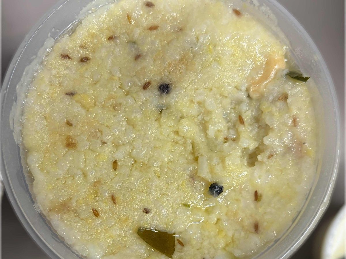 Pongal