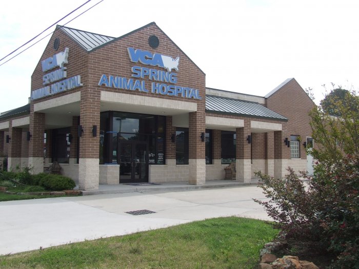 VCA Spring Animal Hospital Photo