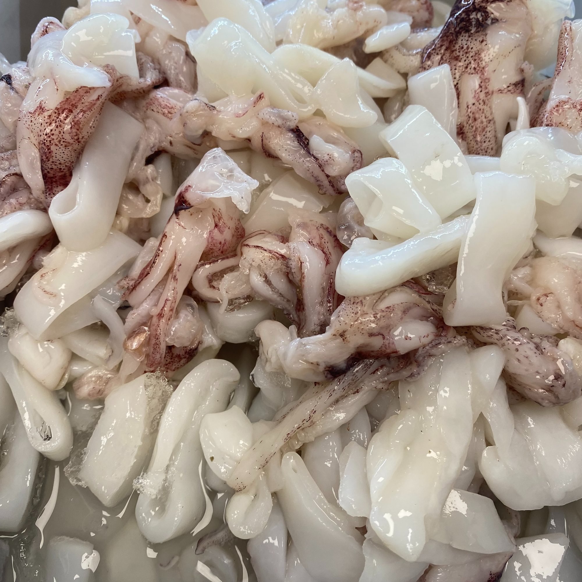 Calamari by the pound