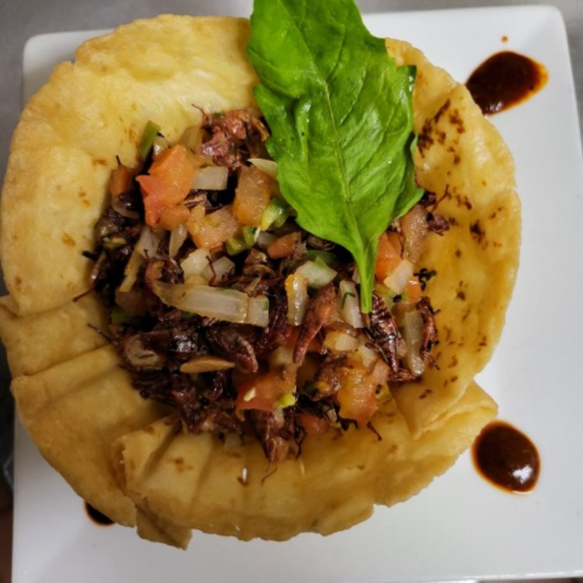 Nido de chapulin a la Mexicana 