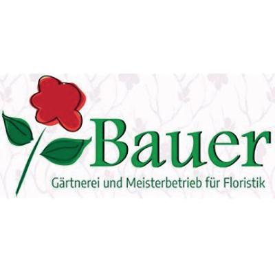 Logo von Bauer Gärtnerei und Meisterbetrieb für Floristik