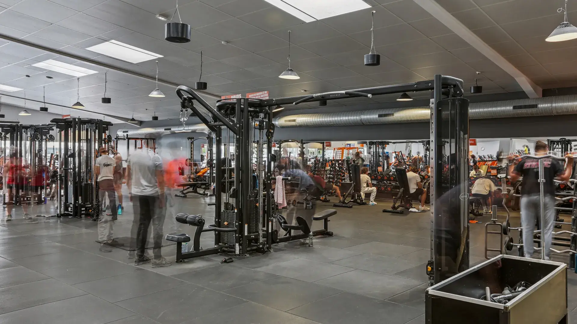 Miniature de la galerie