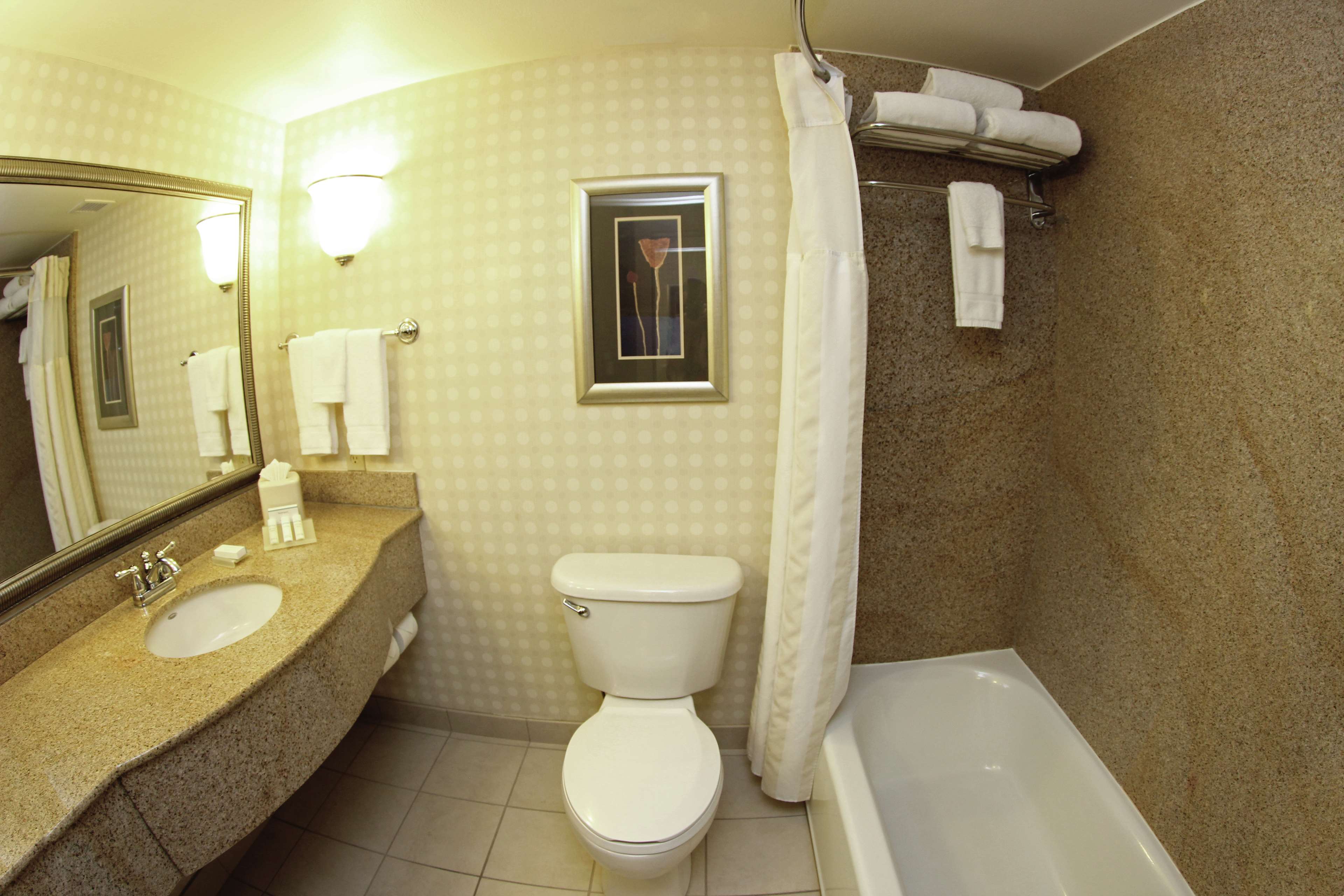 Hilton Garden Inn Jacksonville Orange Park Photo