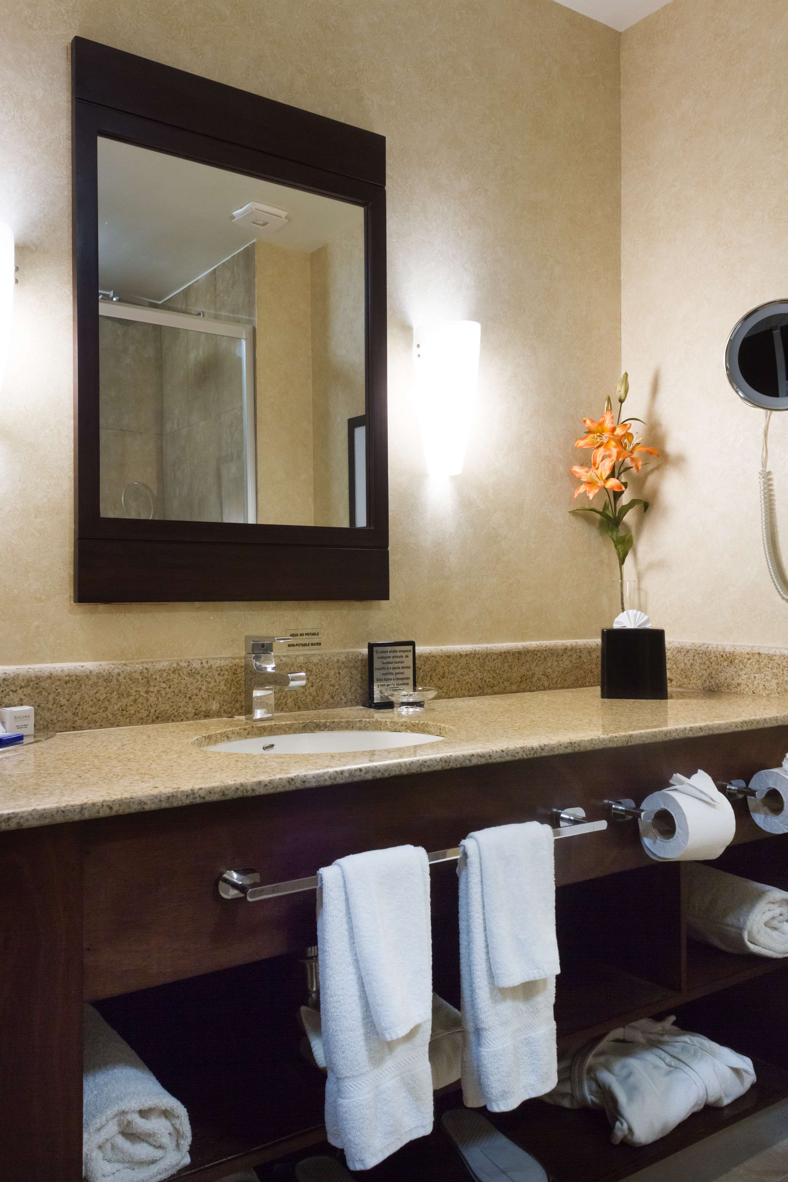 Images Best Western Premier Monterrey Aeropuerto