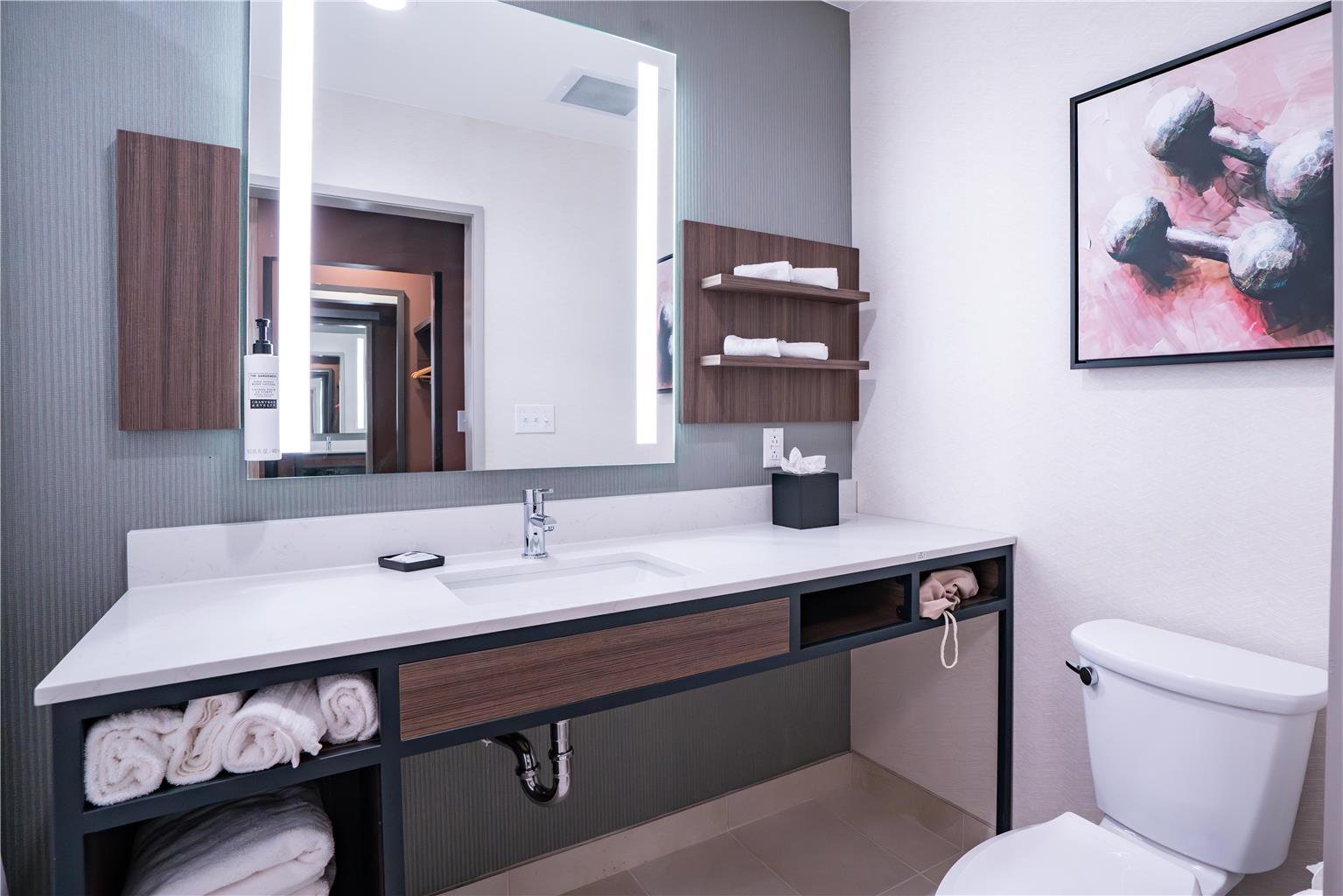 Hilton Garden Inn Hoover Birmingham Image