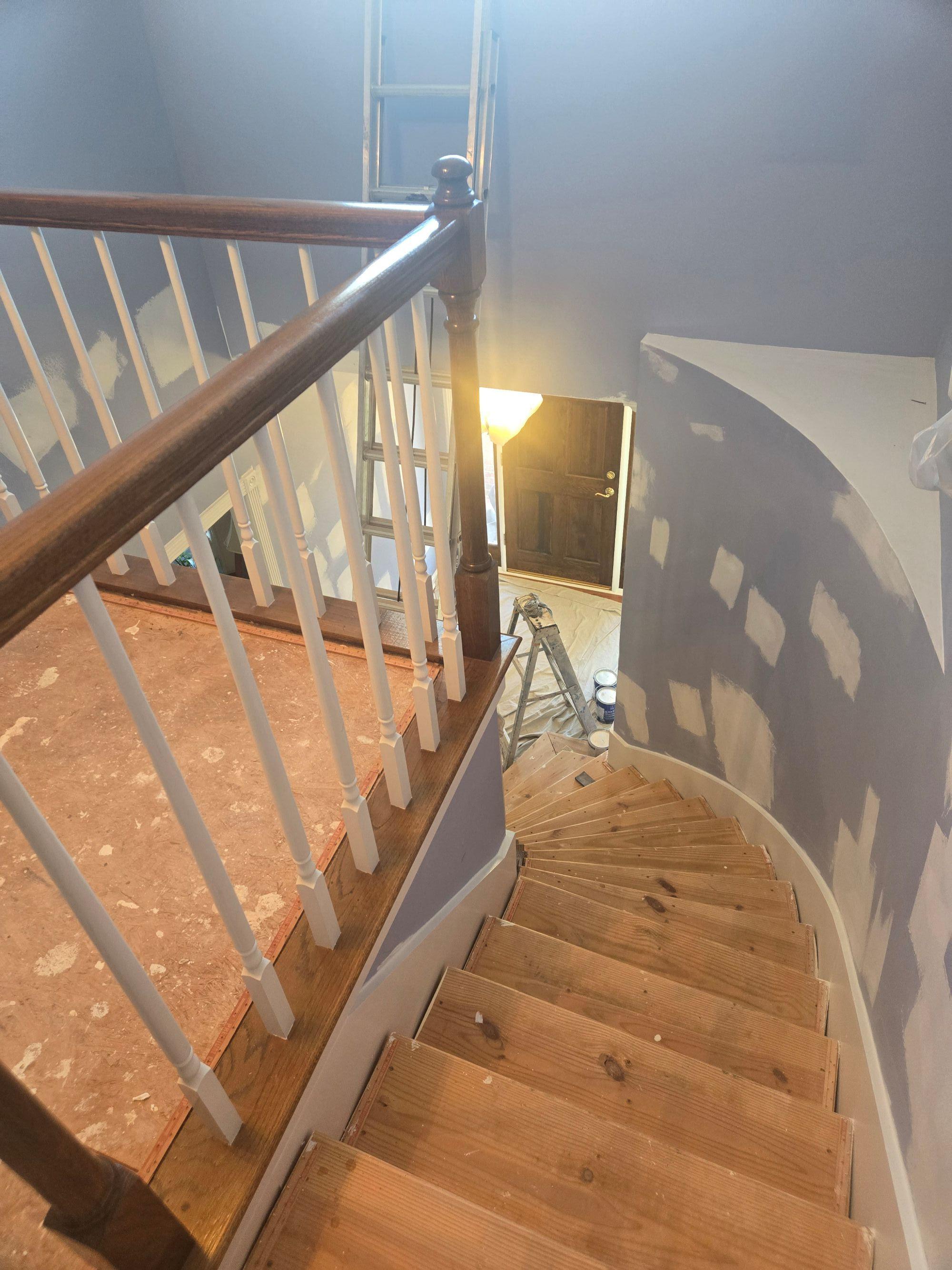 Blue Jay Painting Image