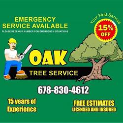 Oak Tree Service Photo