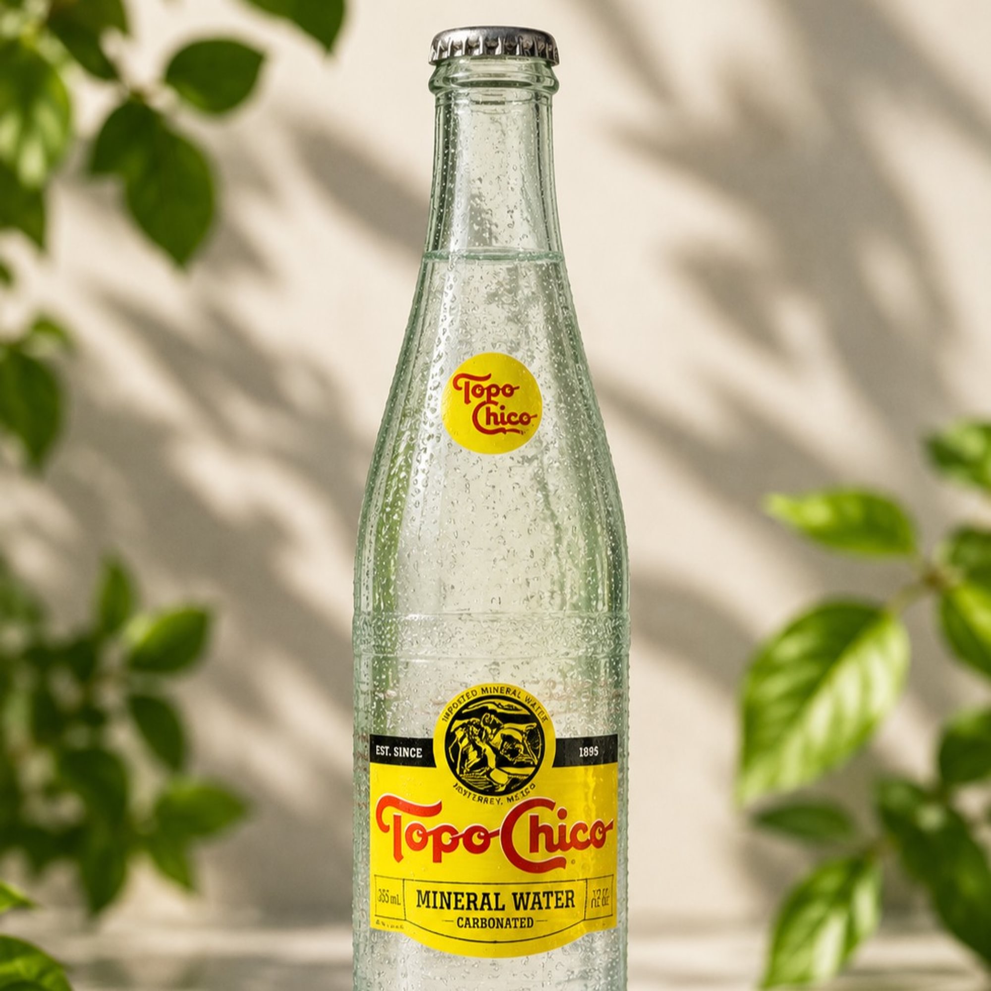 Topo Chico