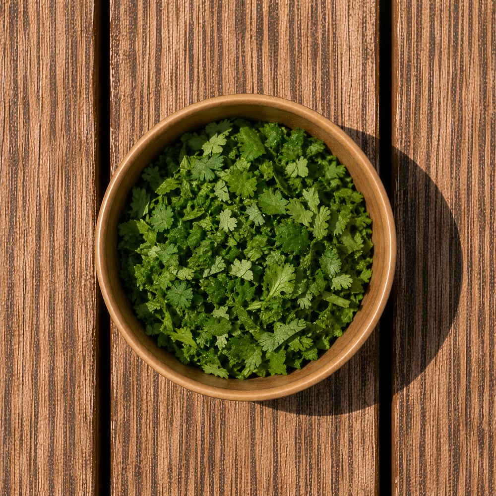 Cilantro