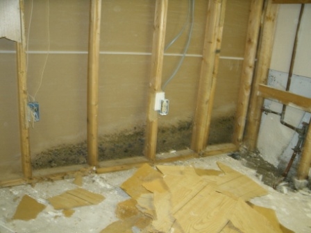 K.C. Waterproofing Photo