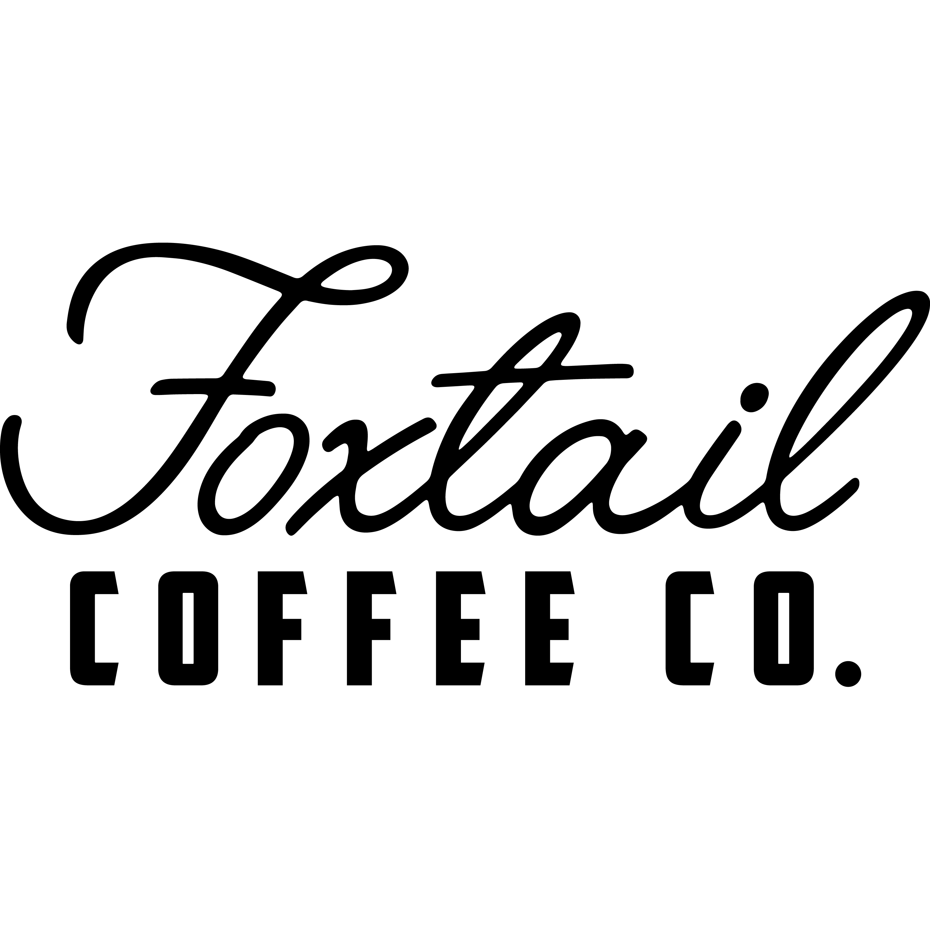 Foxtail Coffee Downtown Holland