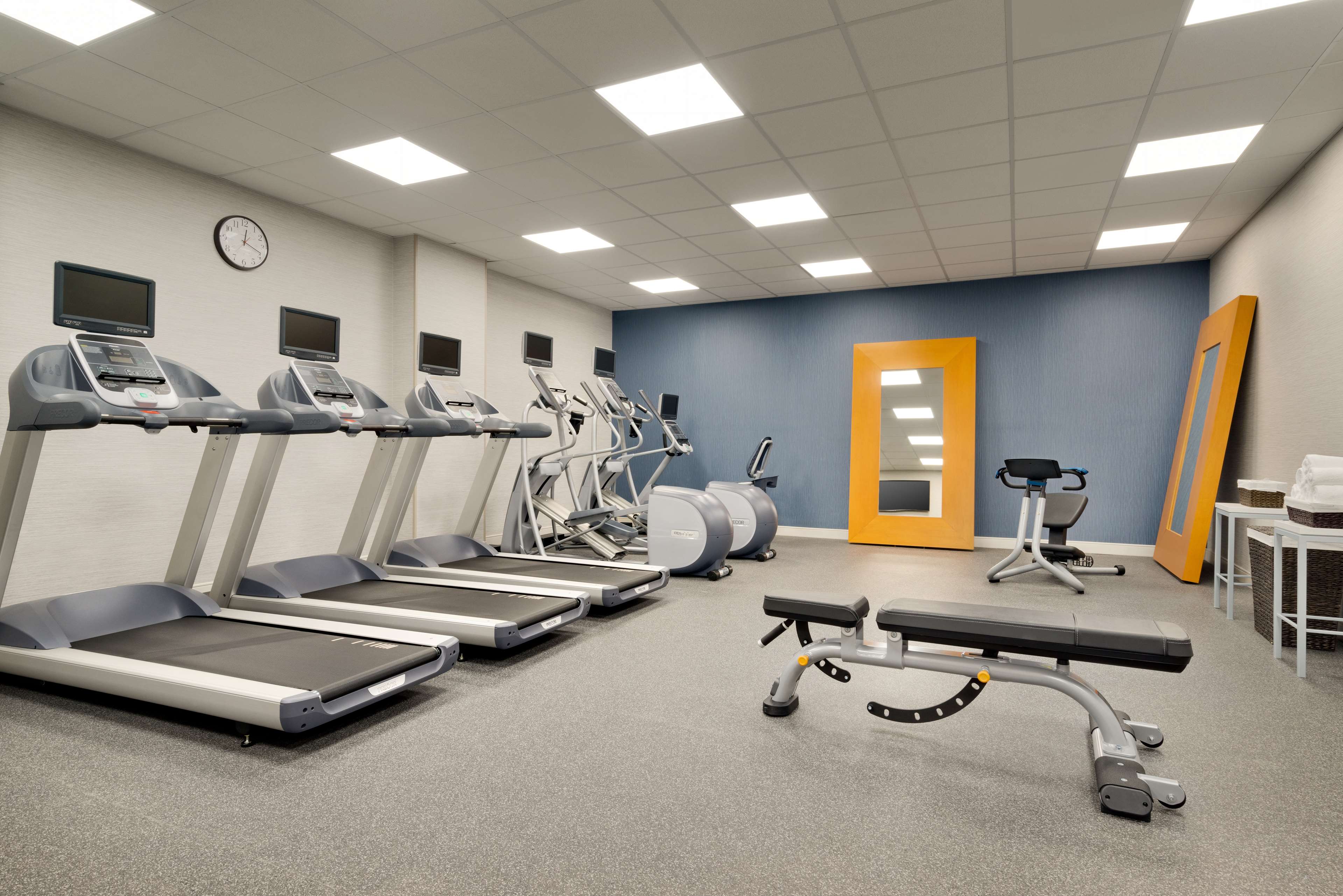 Health club  fitness center  gym