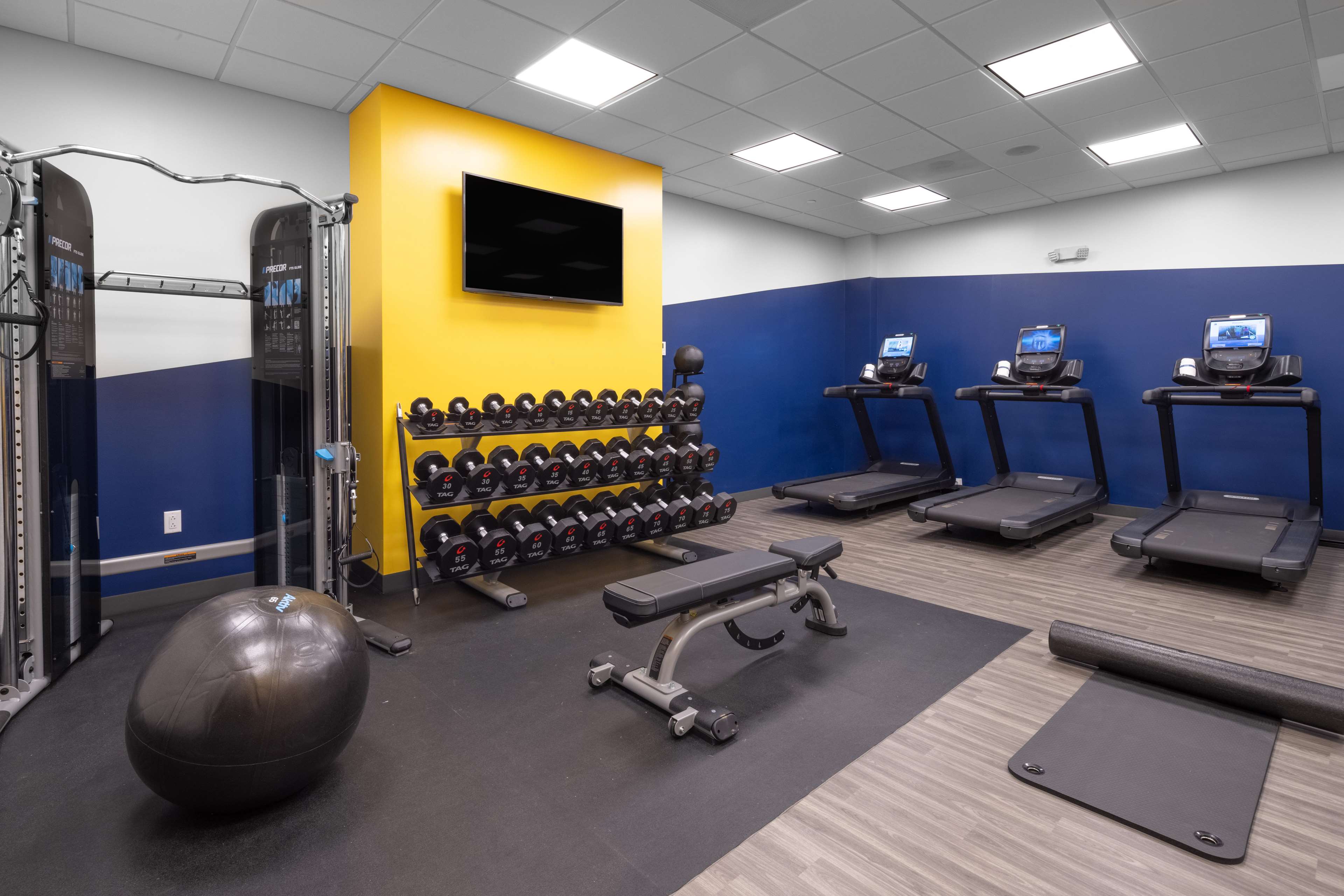 Health club  fitness center  gym