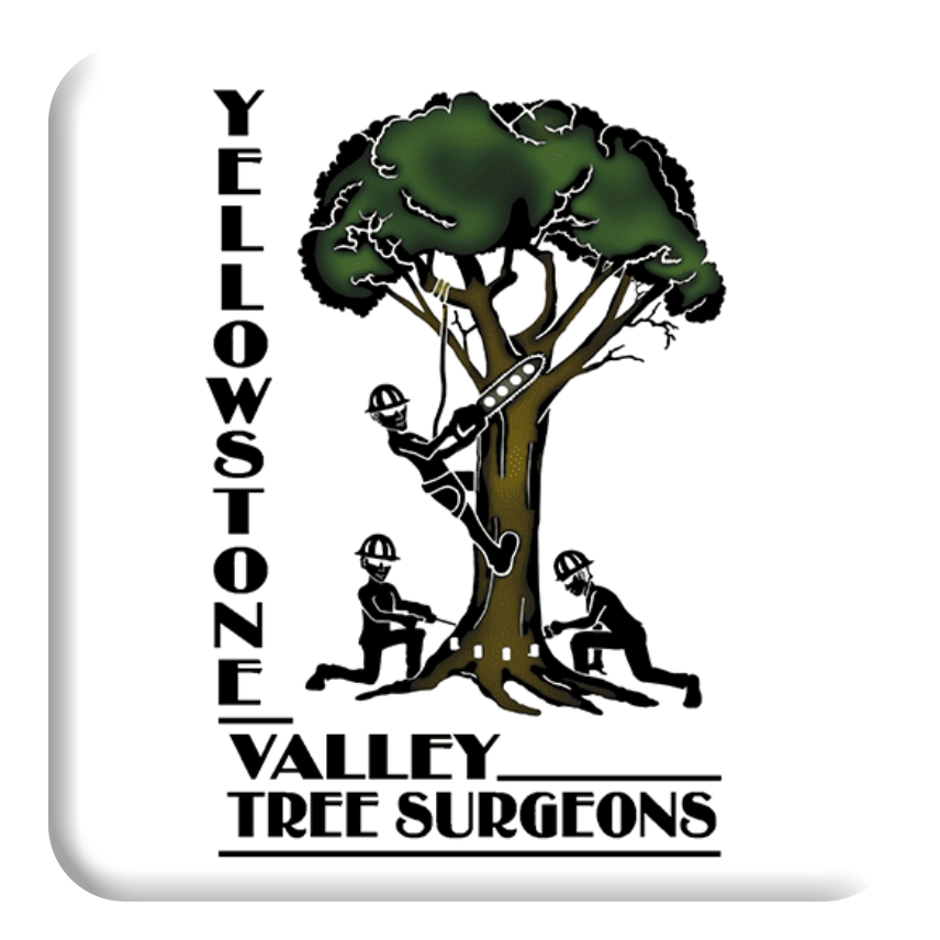 Yellowstone Valley Tree Surgeons Photo