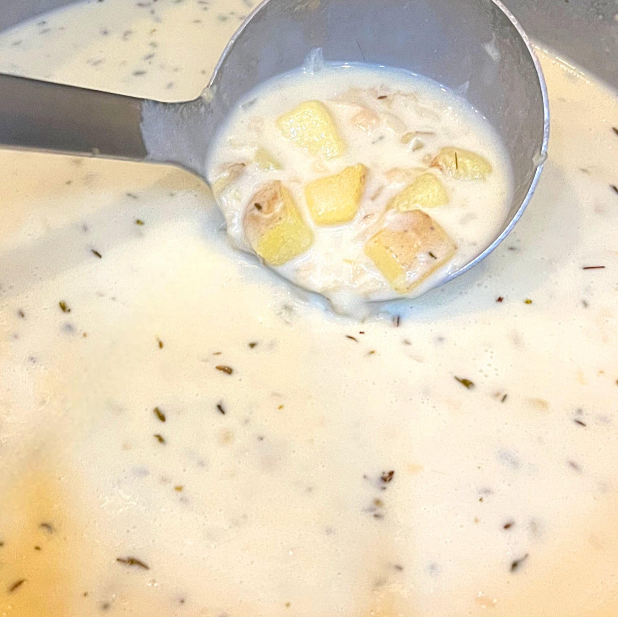 "Soup of the Day"