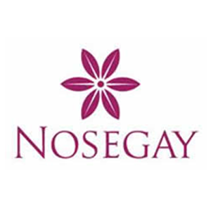 Nosegay Flowers Logo