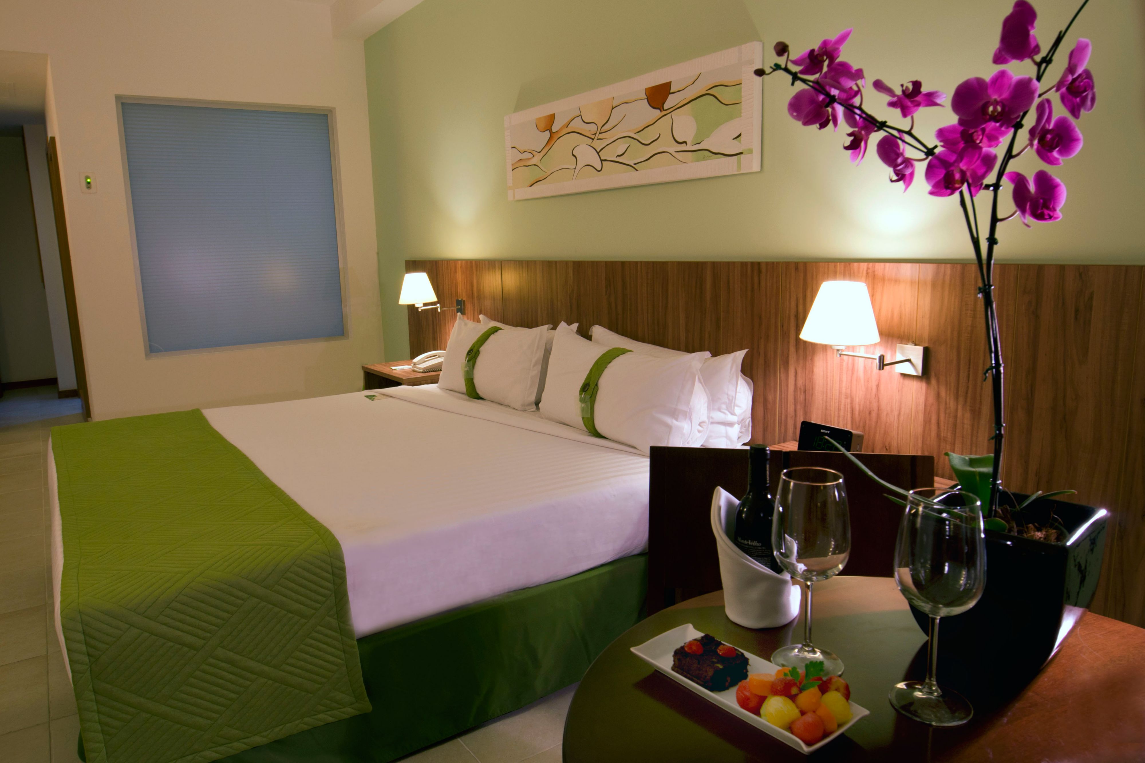 Images Holiday Inn Manaus