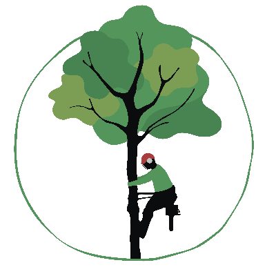 Logo von Julius Ritter - Die Baumkletterer