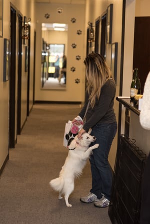 Images Fidos Home Pet Inn & Spa