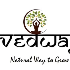 Vedway Solutions Inc