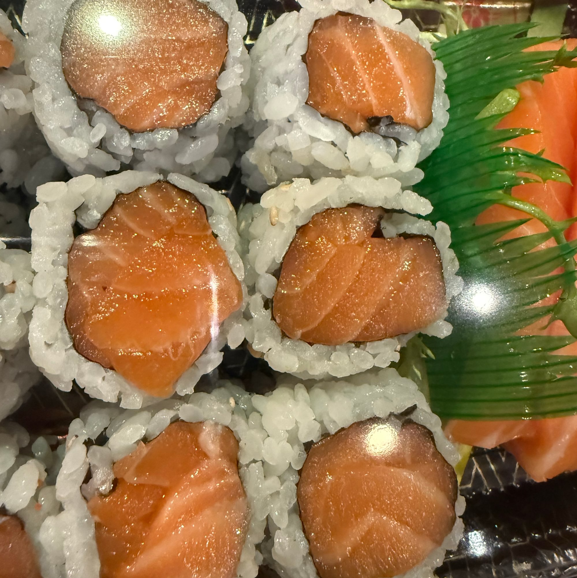 Salmon Roll