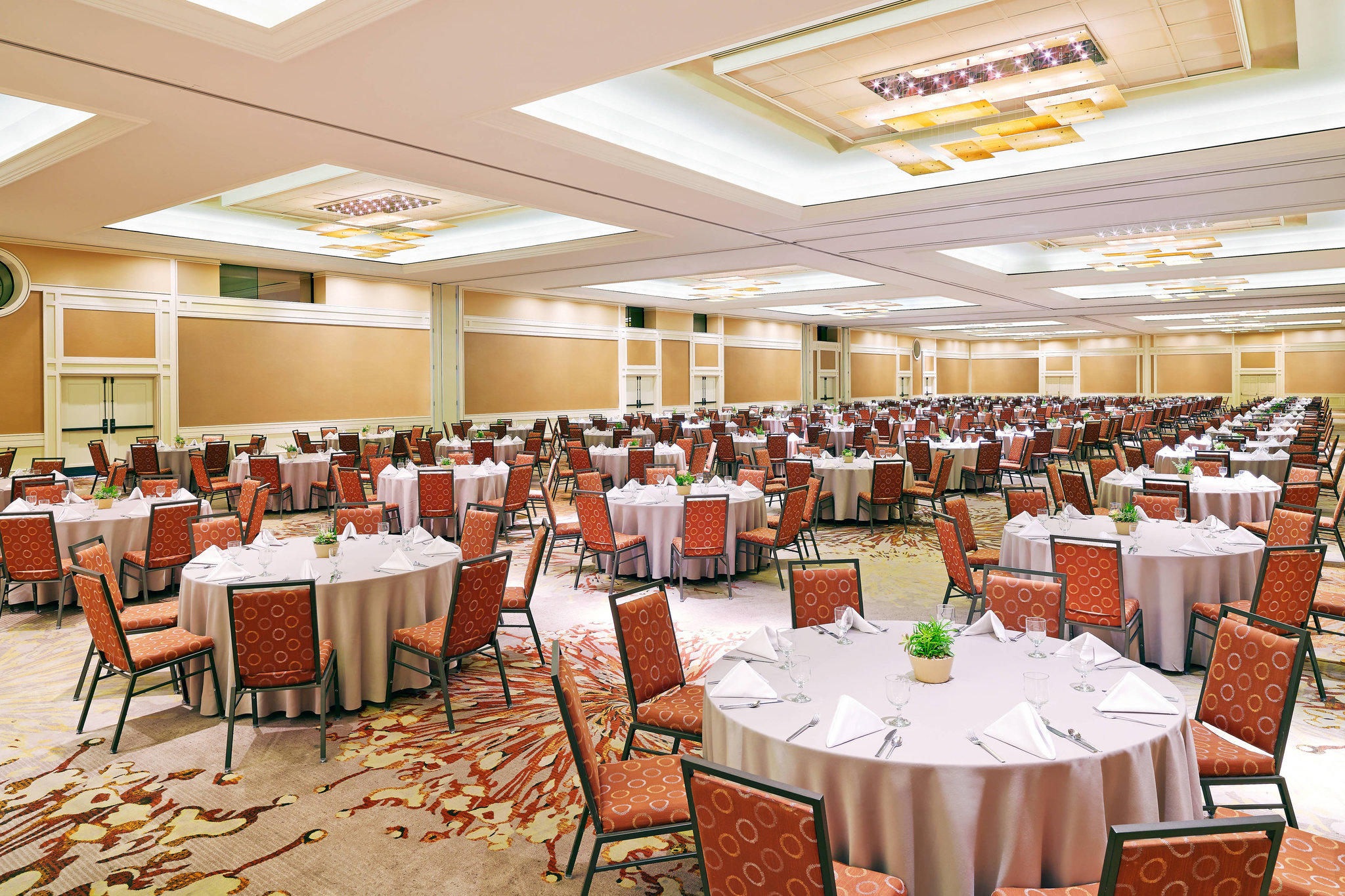 The Westin La Paloma Resort & Spa Photo