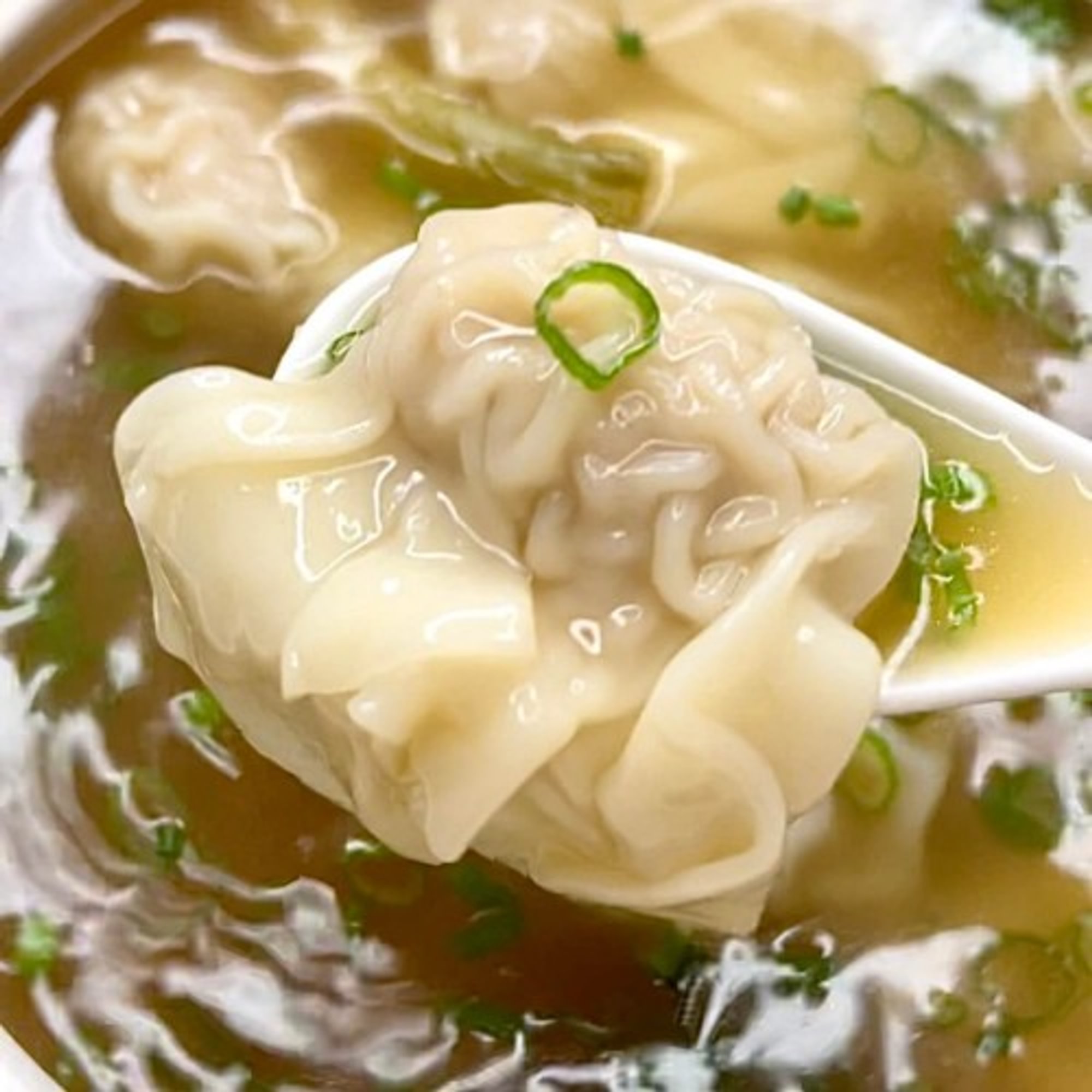 Wonton Soup