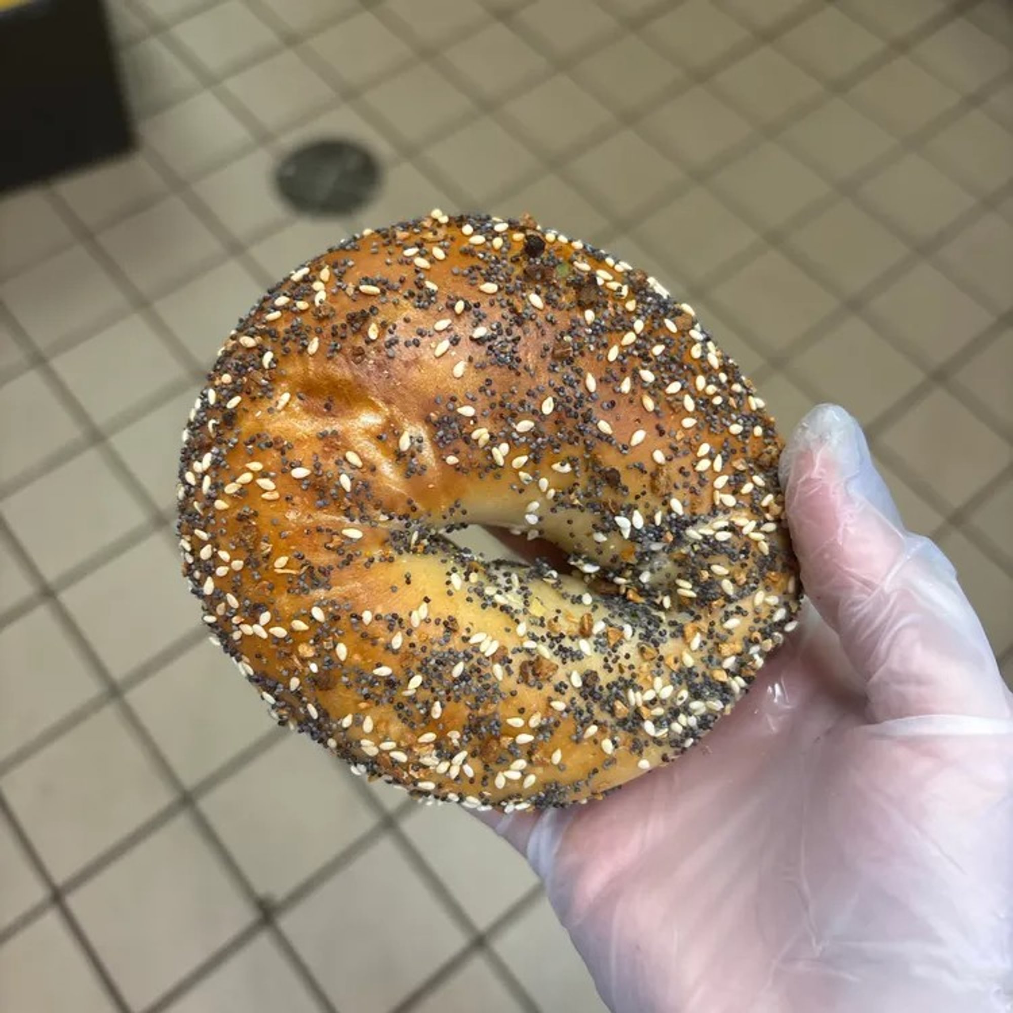 Everything Bagel