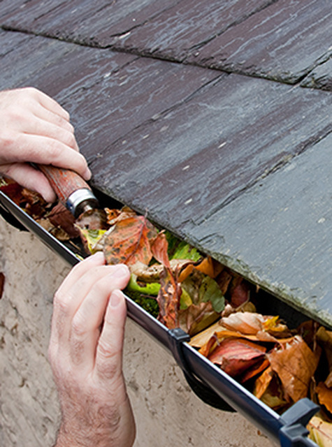 Gutters & Downspouts - Cleaning in Billericay, ESSEX Billeri