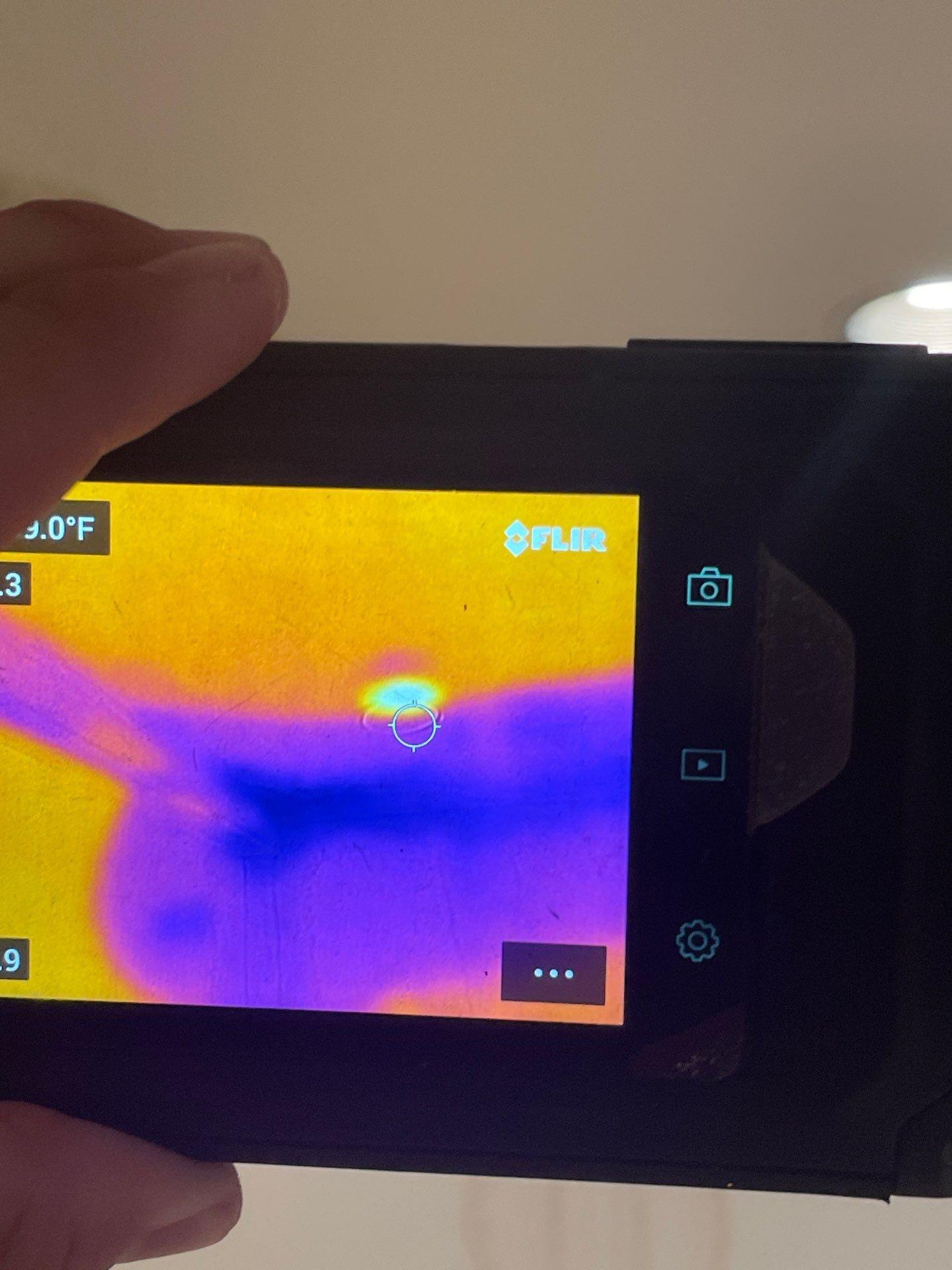 Water Damage, Inc. Image