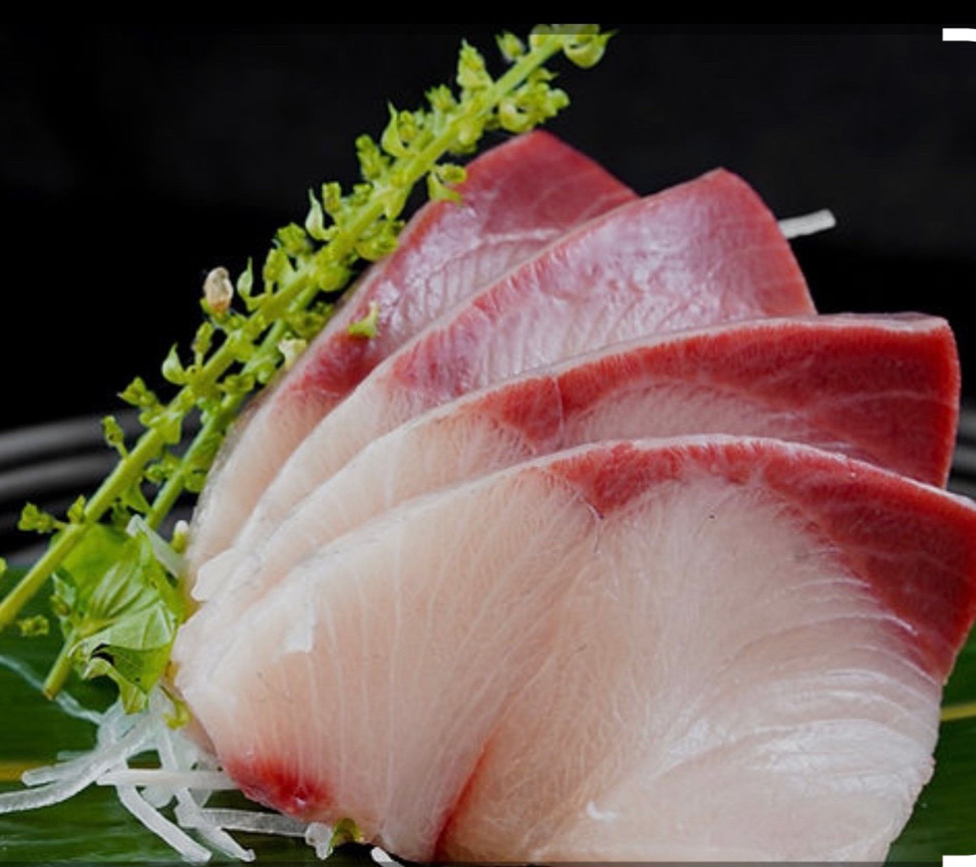 Hamachi/Japanese Yellowtail Sashimi