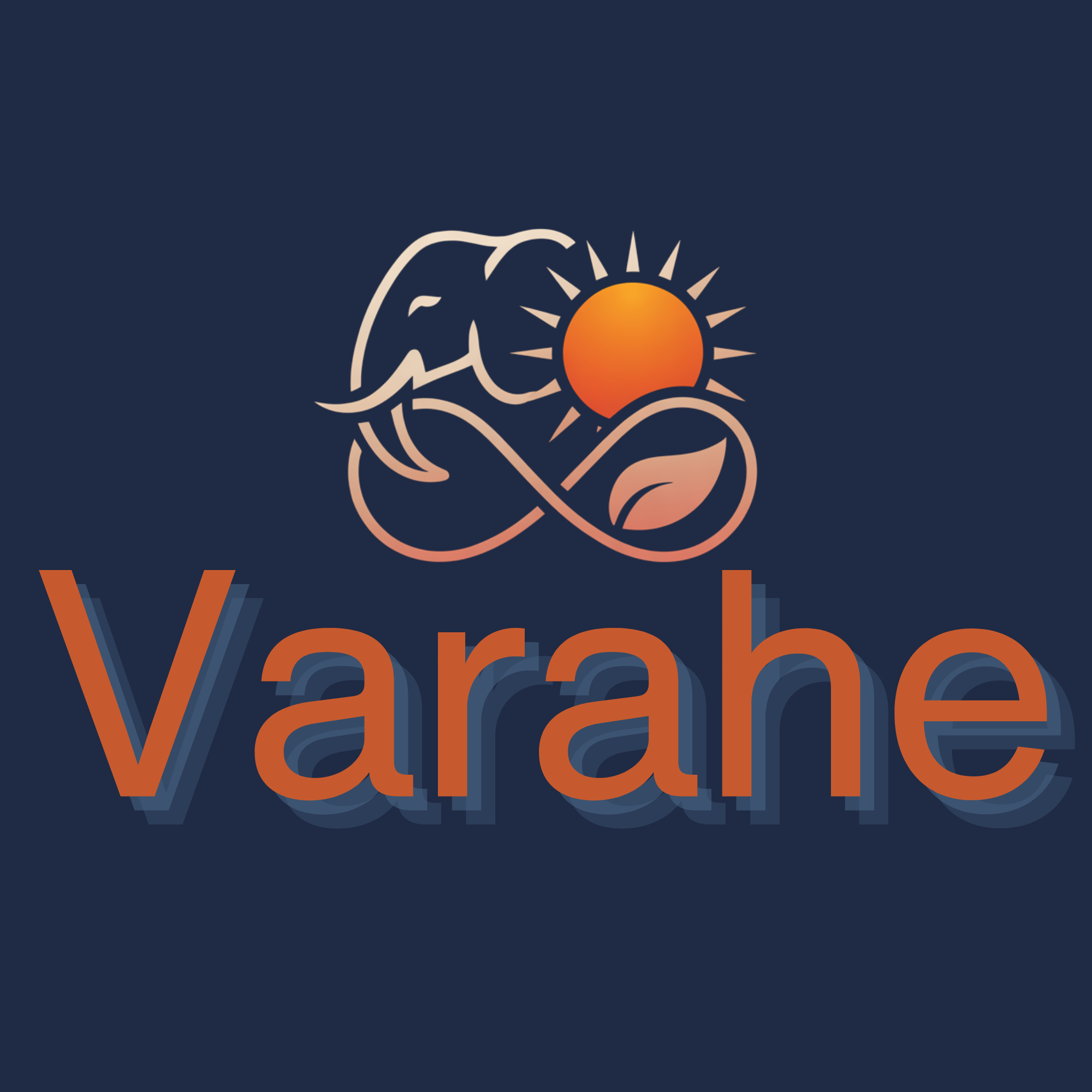 Varahe Health Services LLC