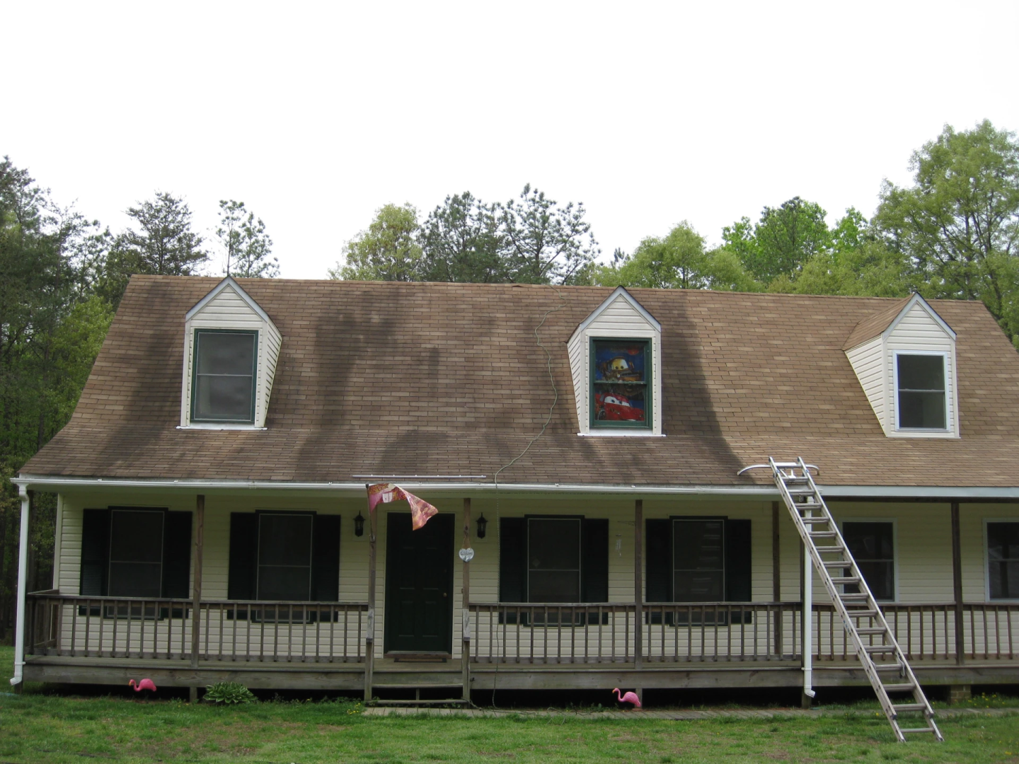 Evergreen Cleaning Image