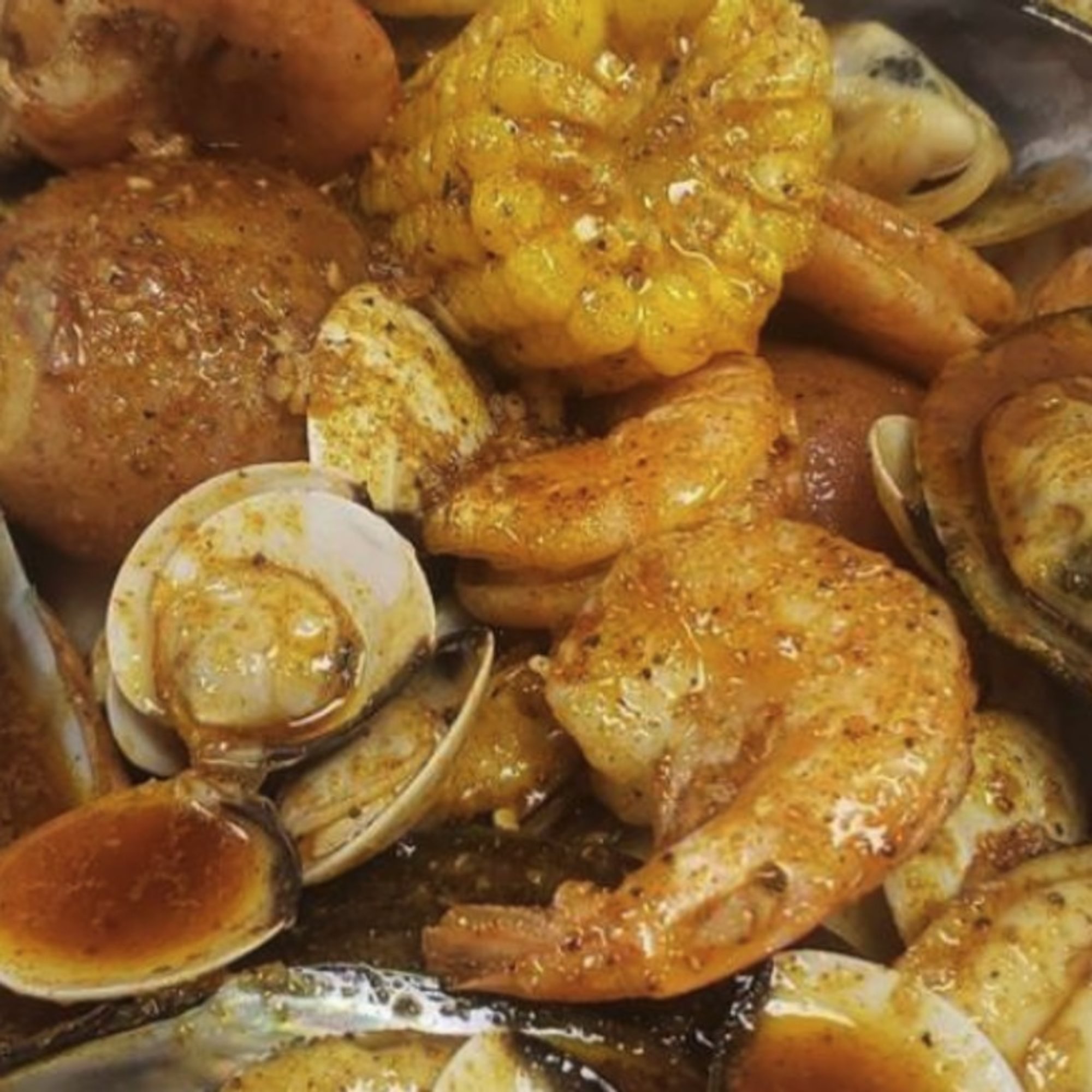 Seashell Special