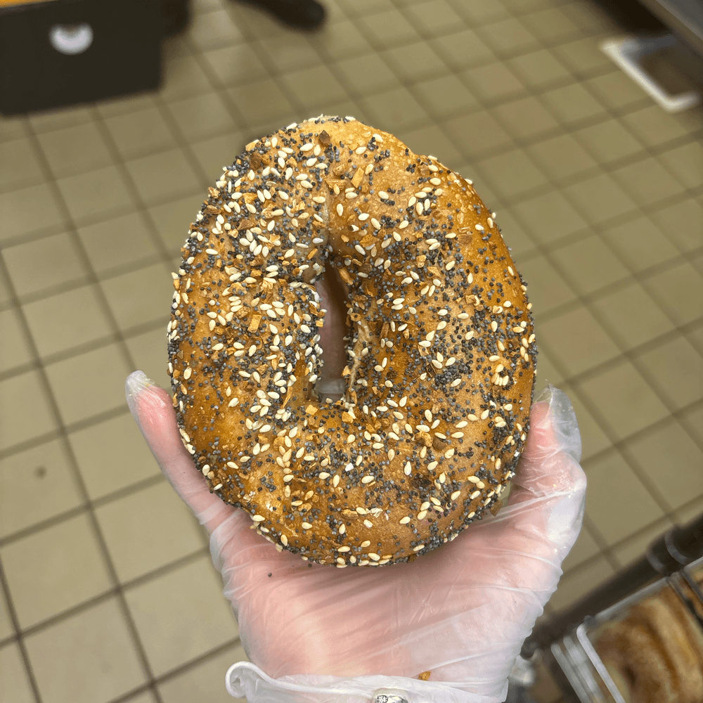 Whole Wheat Everything Bagel