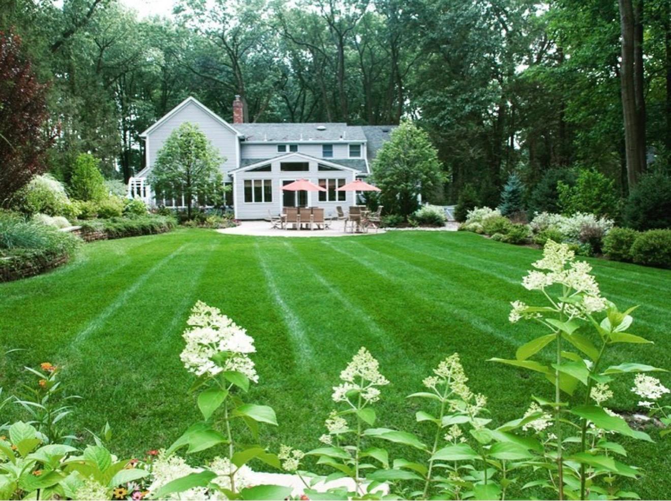 Synergy Lawnscape Image