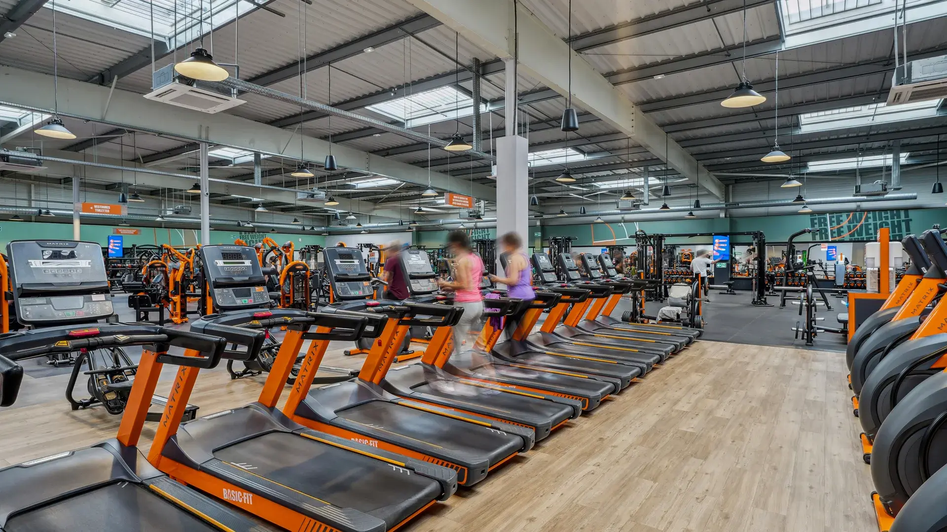 Miniature de la galerie