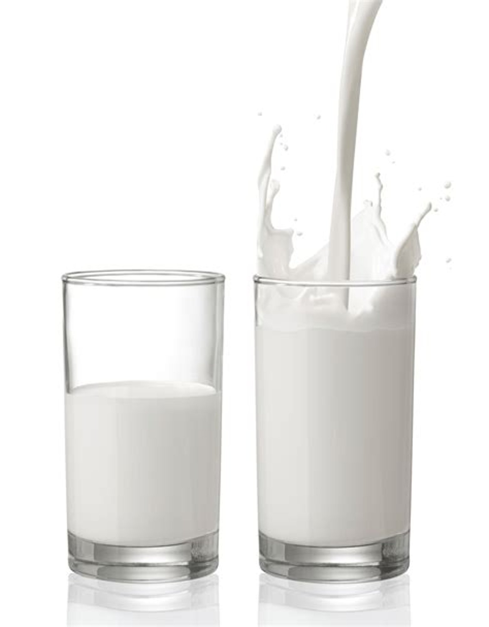 Milk 16oz
