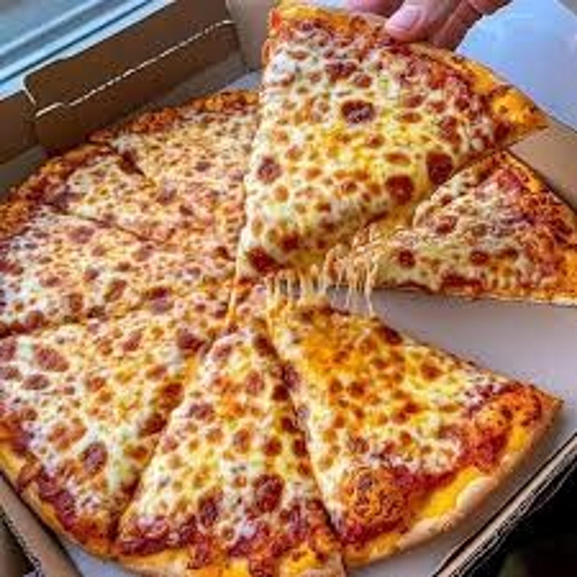 Large 1-Topping Special
