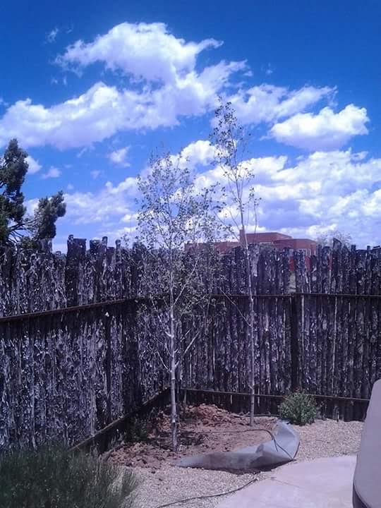 Santa Fe’s Finest Landscaping Image